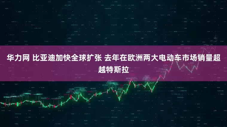 华力网 比亚迪加快全球扩张 去年在欧洲两大电动车市场销量超越特斯拉
